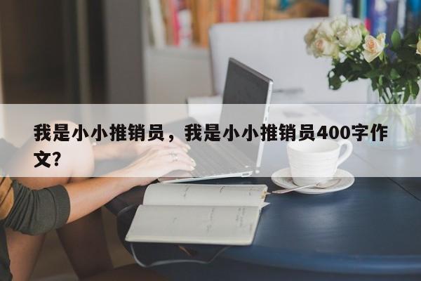 我是小小推销员，我是小小推销员400字作文？