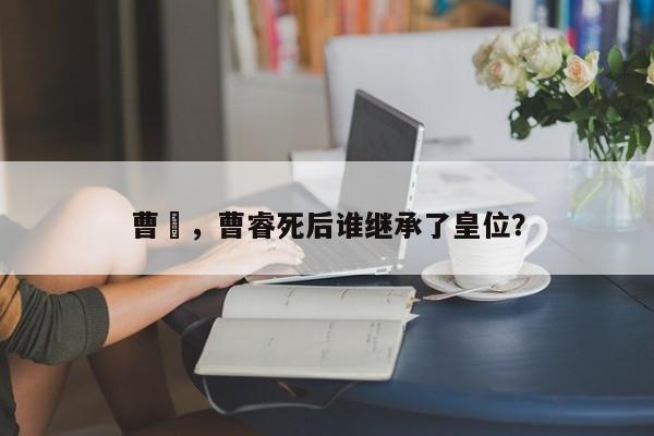 曹叡，曹睿死后谁继承了皇位？