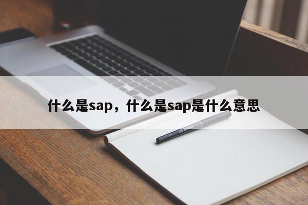 什么是sap，什么是sap是什么意思