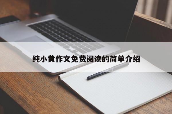 纯小黄作文免费阅读的简单介绍