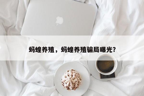 蚂蝗养殖，蚂蝗养殖骗局曝光？