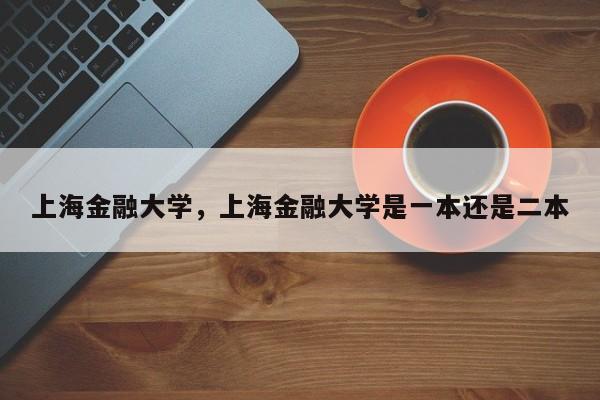 上海金融大学，上海金融大学是一本还是二本