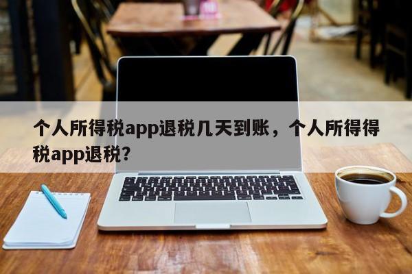 个人所得税app退税几天到账，个人所得得税app退税？