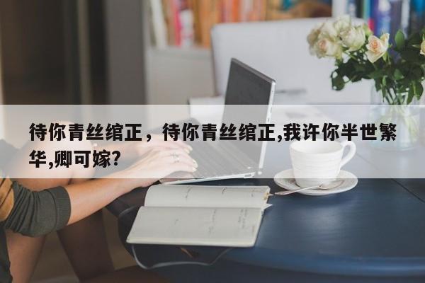 待你青丝绾正，待你青丝绾正,我许你半世繁华,卿可嫁?