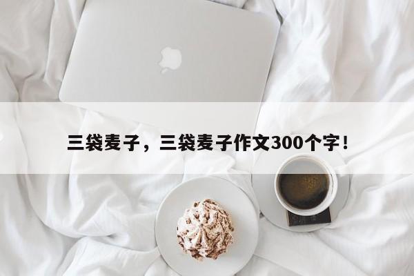 三袋麦子，三袋麦子作文300个字！